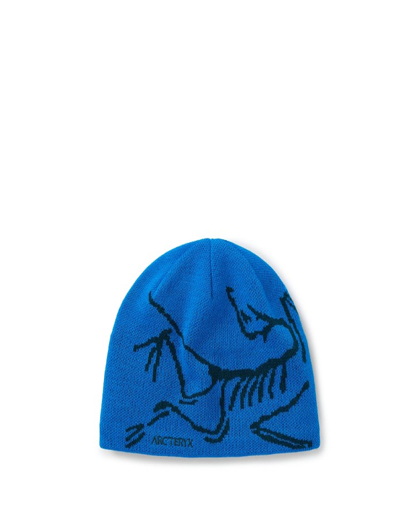 Arcteryx Bird Head Toque Fluidity/Labyrinth