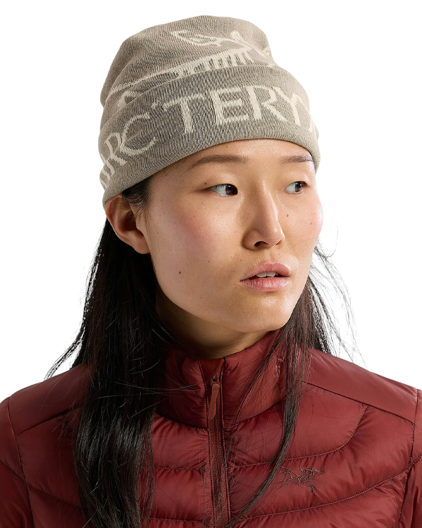 Arcteryx Bird Word Toque Rune/Arctic Silk