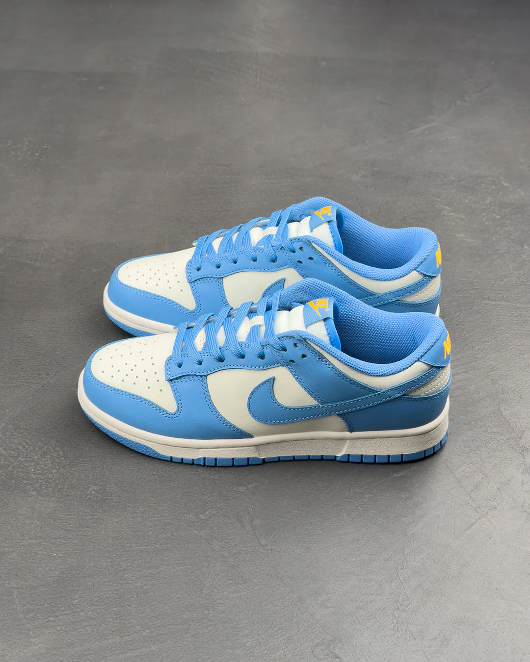 Nike Dunk Low Coast