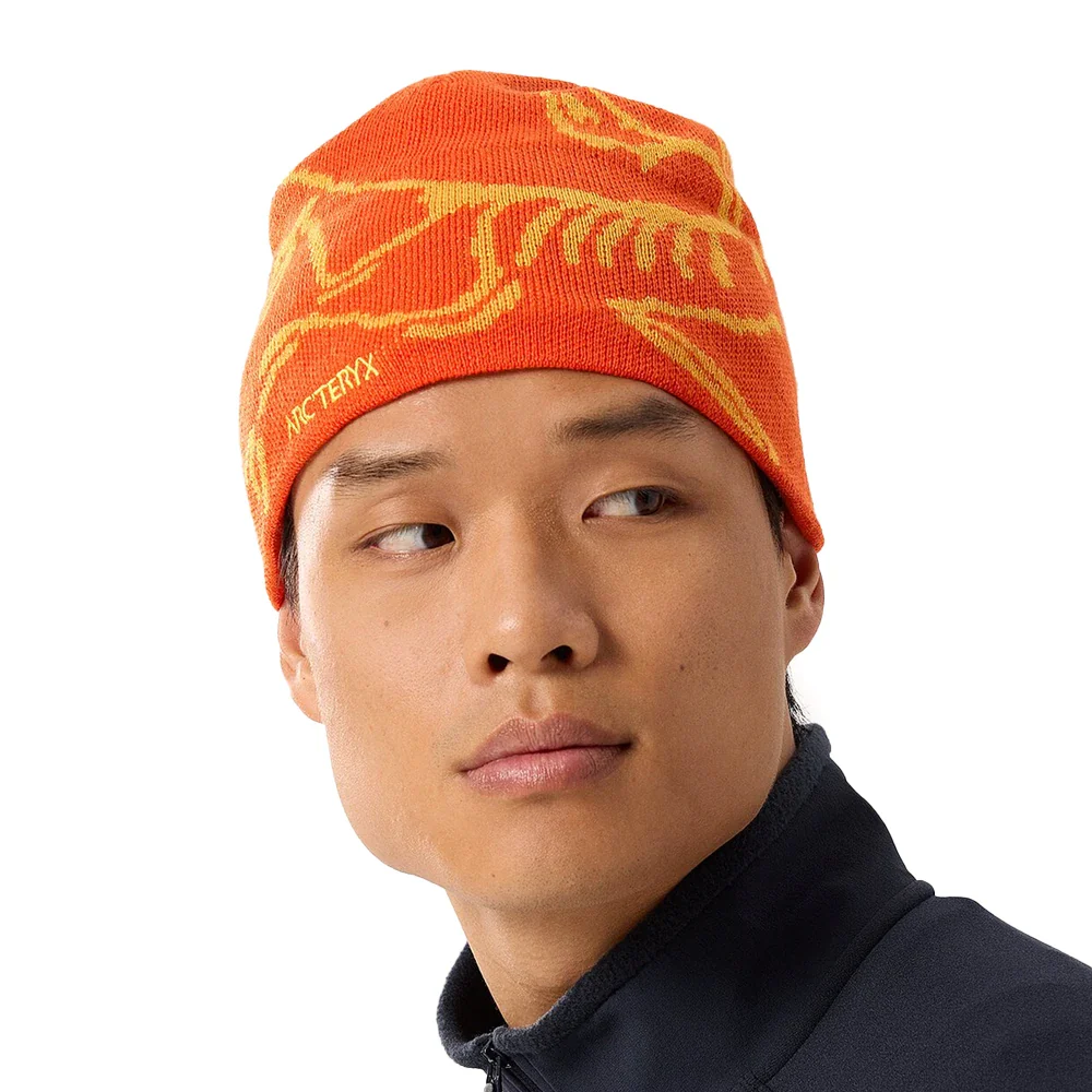 Arcteryx Bird Head Toque Solaris/Edziza
